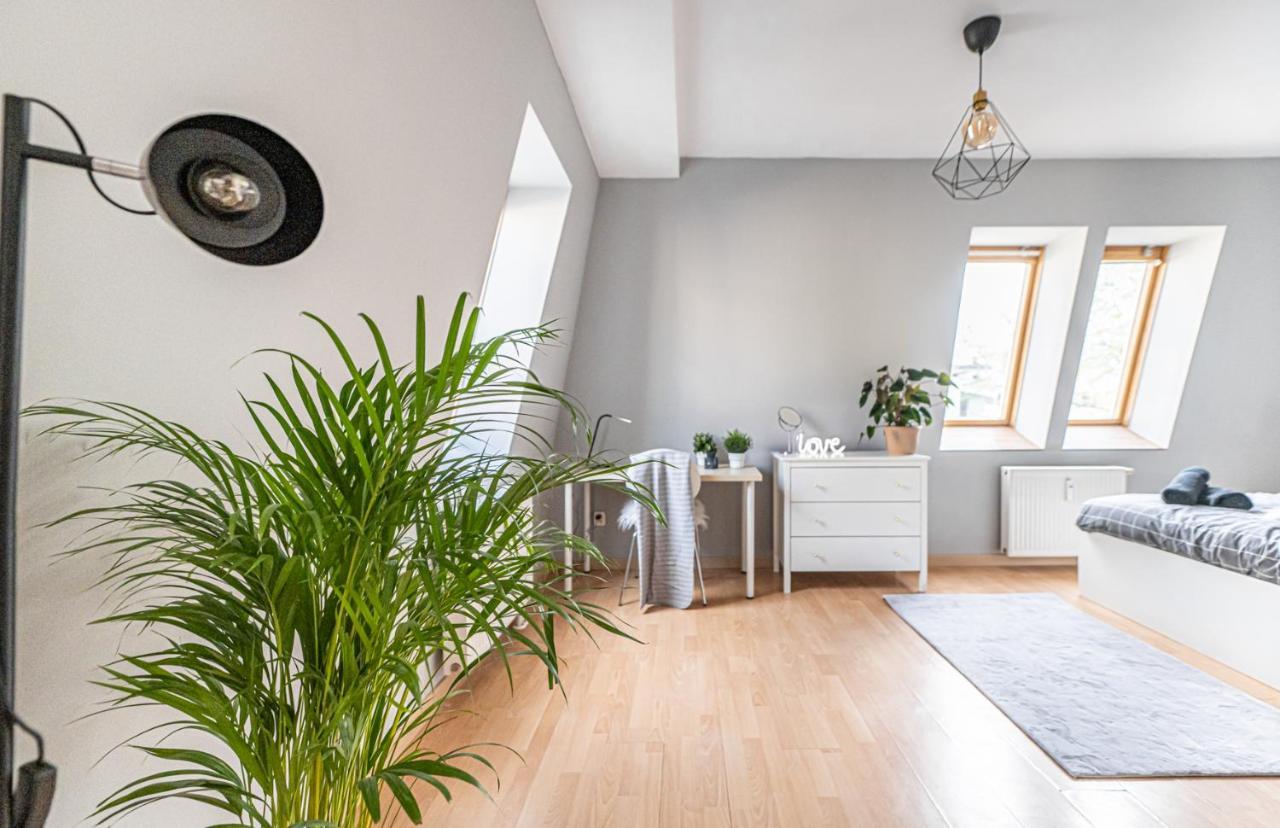 Niceone Apartment Number 7 - W Samym Centrum! Вроцлав Экстерьер фото